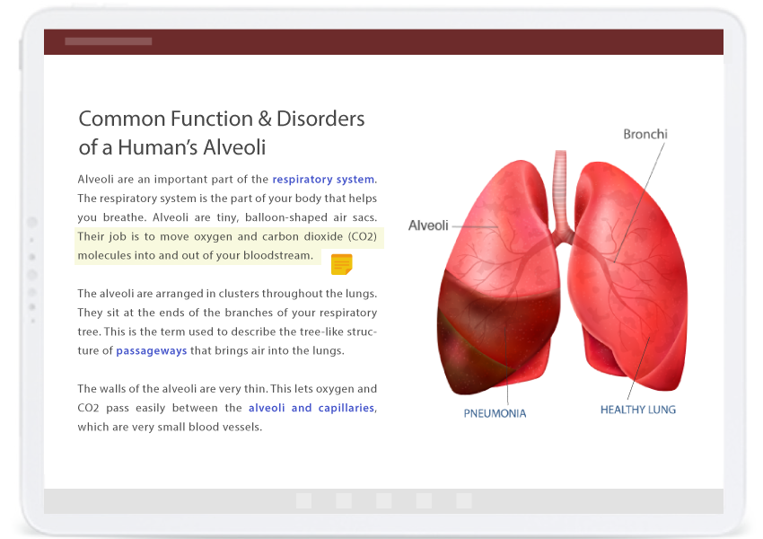 Encourage discussion and collaboration