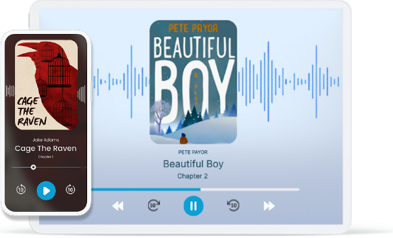 Audiobook integration
