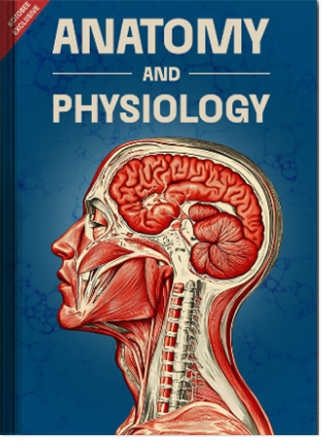 Human Anatomy and Physiology cover